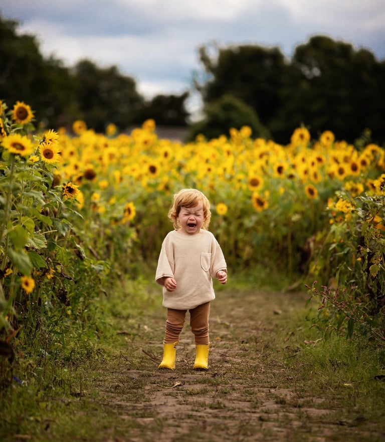 a toddler standing in a field of sunflowers