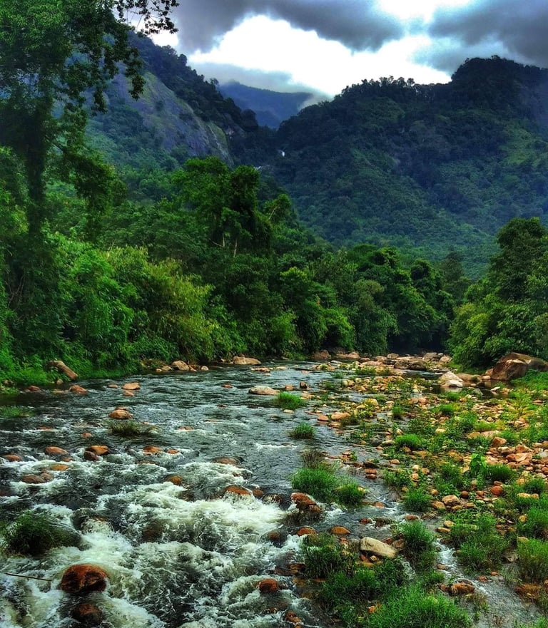 Waterstream at Anakulam