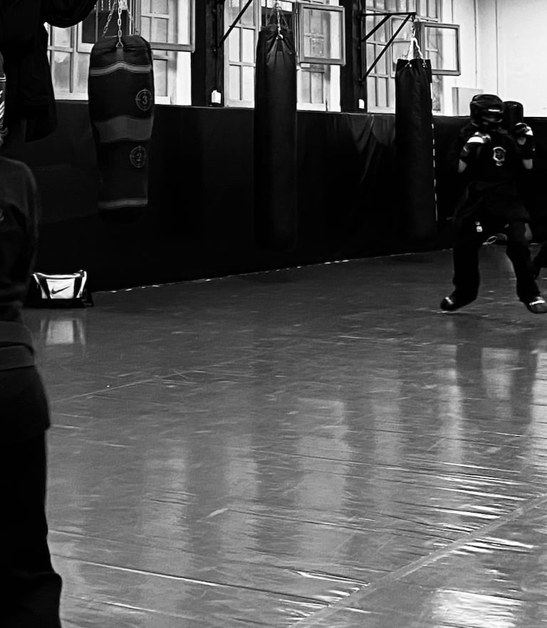 kenpo karate patada