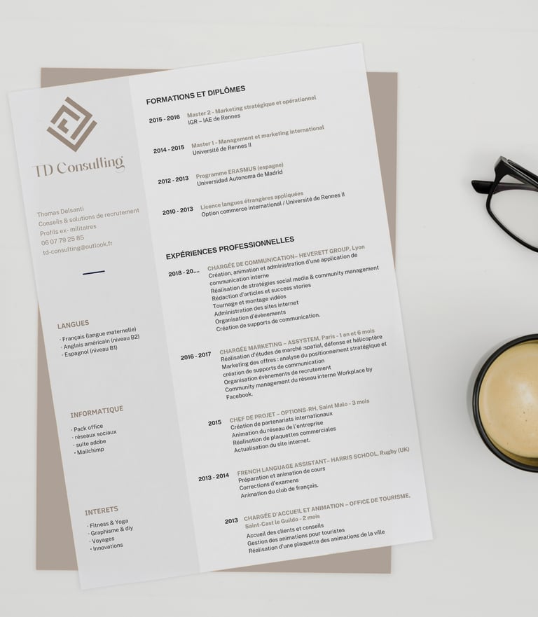 Exemple de templat ede CV TD Consulting