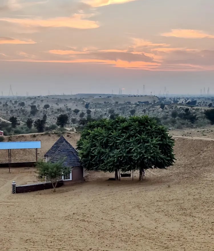 Raisar dunes in Bikaner glowing in the warm hues of sunset.