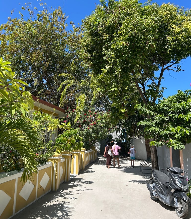 Guraidhoo rue maldives