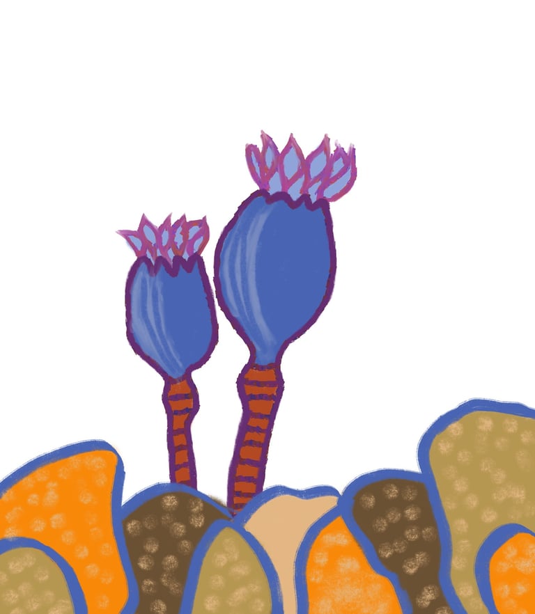 Aesthetic floral watercolor wall art australia