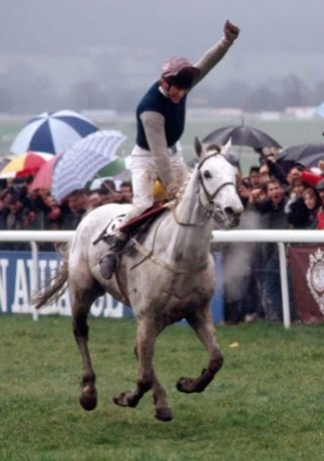 Desert Orchid WINS 1989 Cheltenham Gold Cup and I WAS THERE THAT DAY!