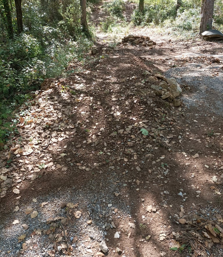 An abandoned adventure site in the woods