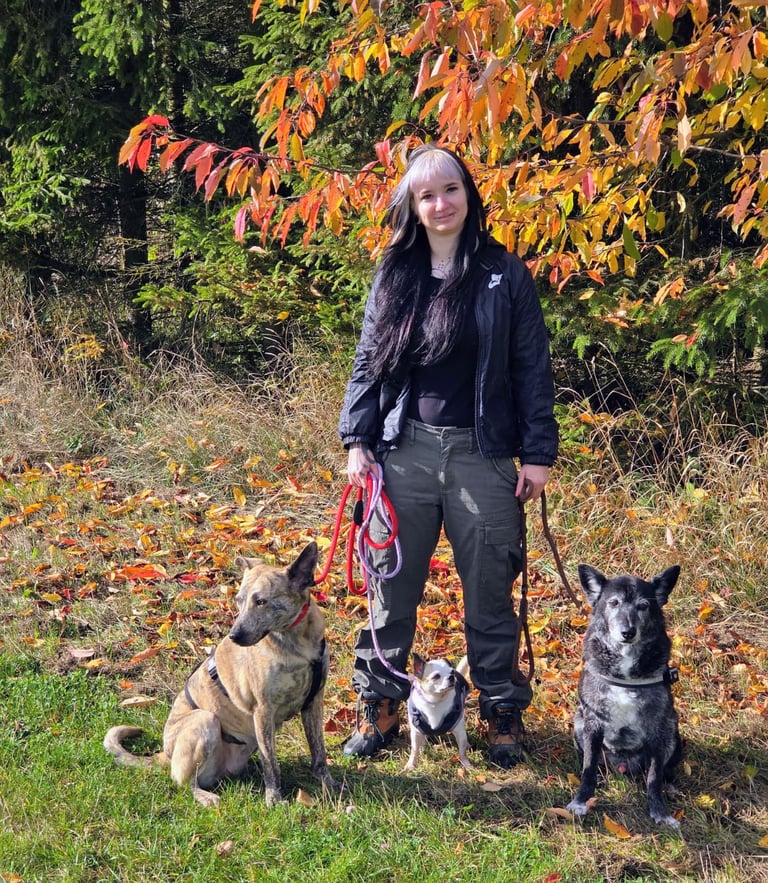 Mel bei Dogwalking in Leipzig mit ihrer kleinen Gruppe