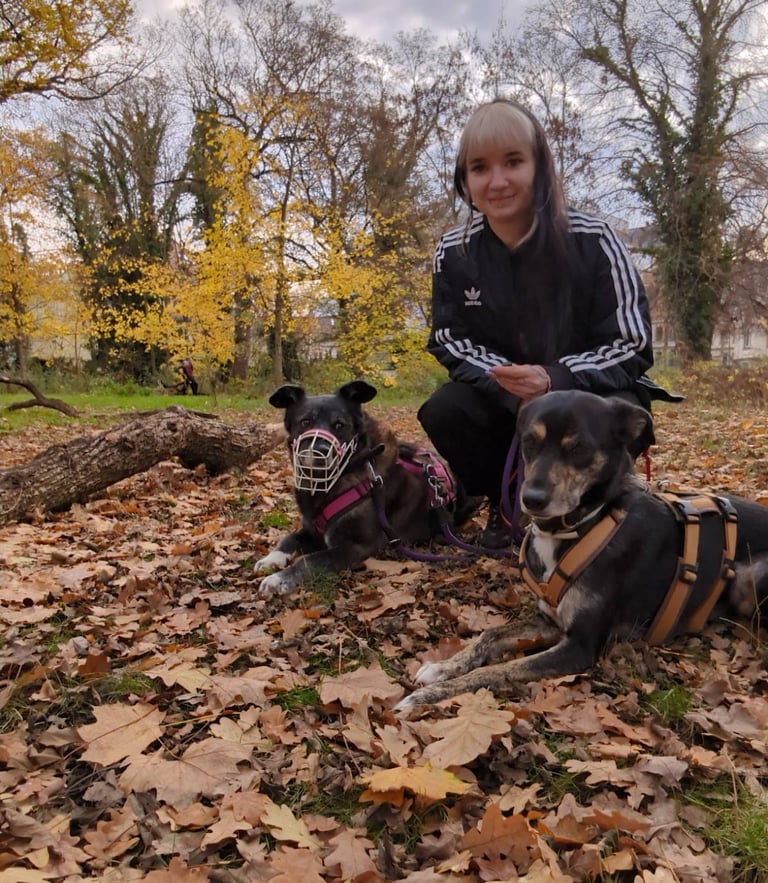 Mel mit 2 Hunden beim Social Walk in Leipzig, ein Hund trägt einen Maulkorb