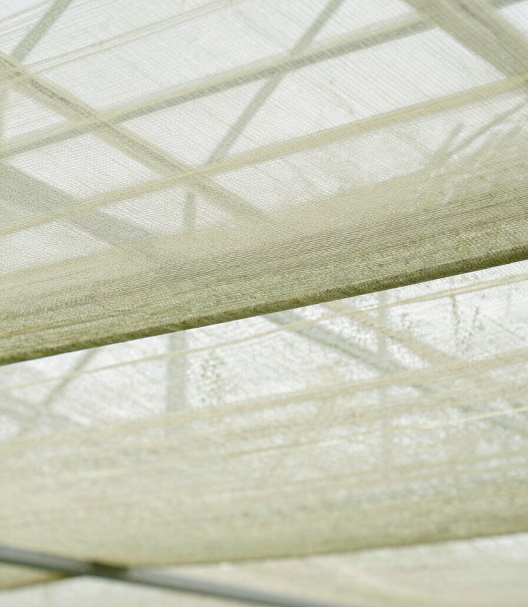 Macro shot of light filtering through a heavy-duty woven shade cloth, bright diffused greenhouse daylight, sharp technical detail, 35mm