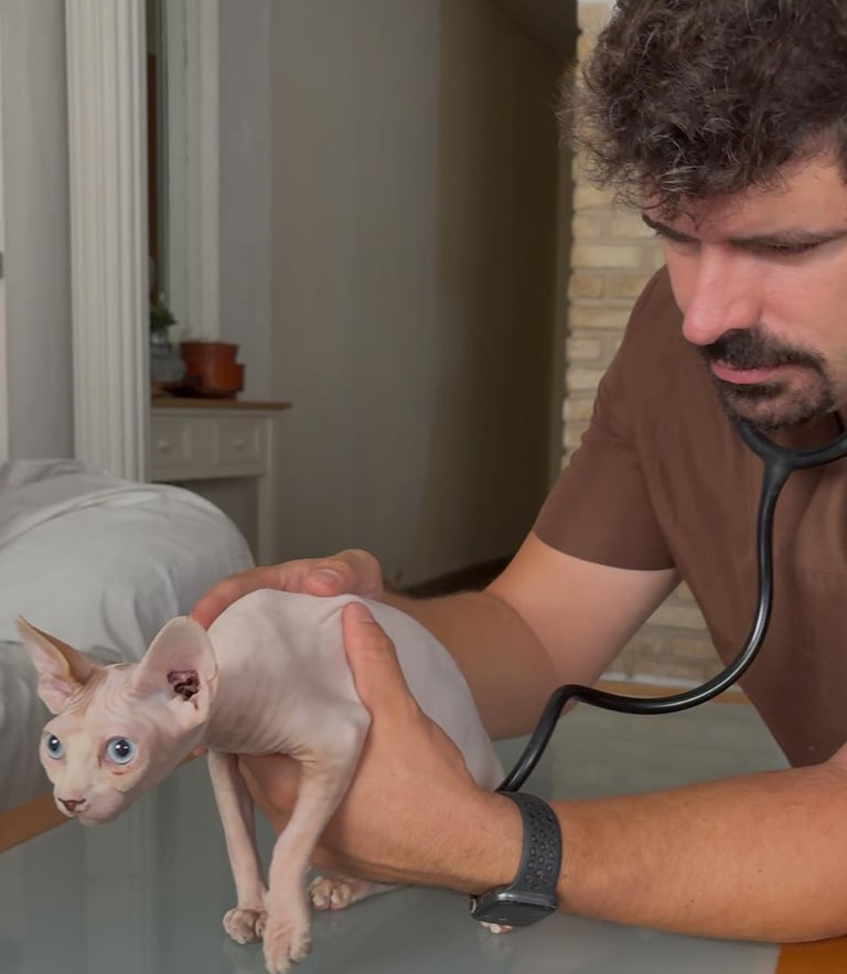 analítica veterinario a domicilio