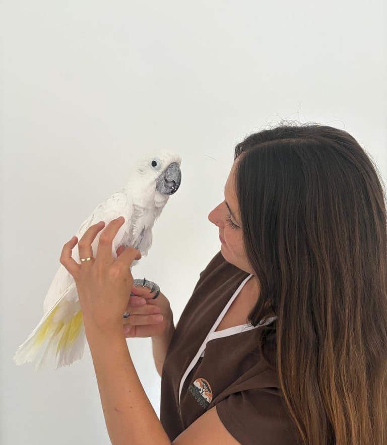 veterinario exóticos a domicilio