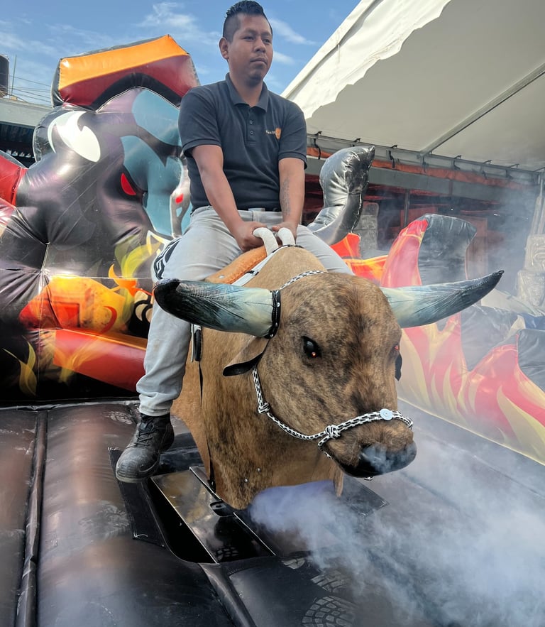 Toro Mecanico en Venta Fabricante de Toros Mecanicos