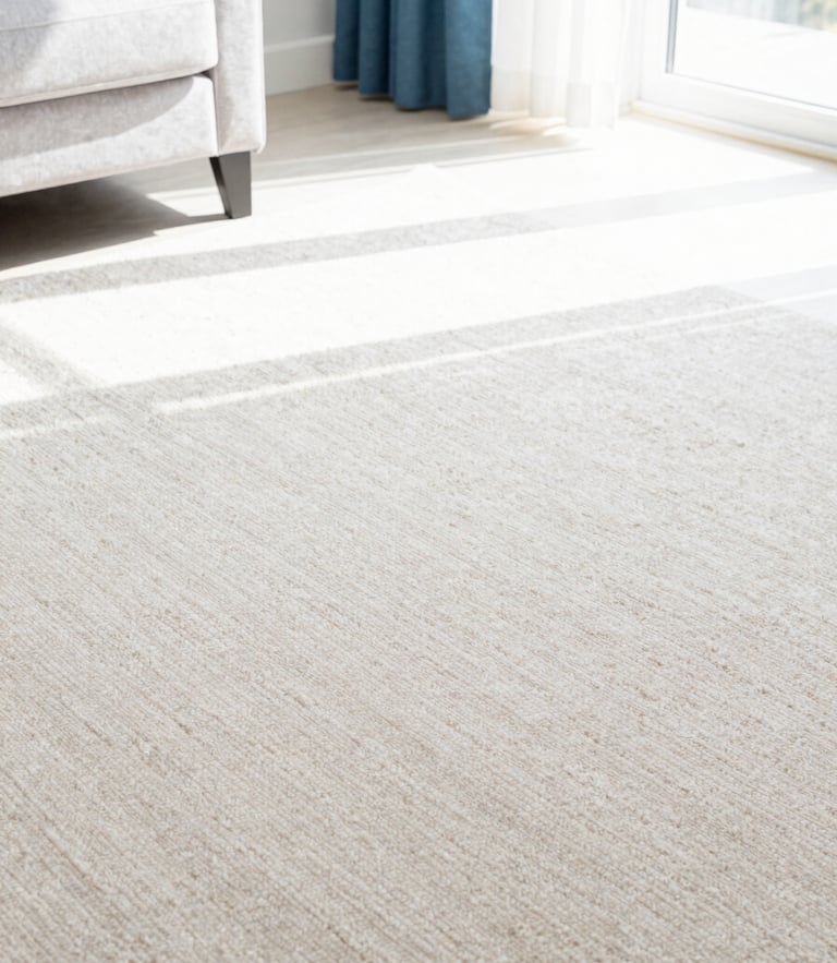Bright high-key interior photography of a sun-drenched modern living room with immaculate plush beige carpet, soft daylight pouring in, sharp focus.