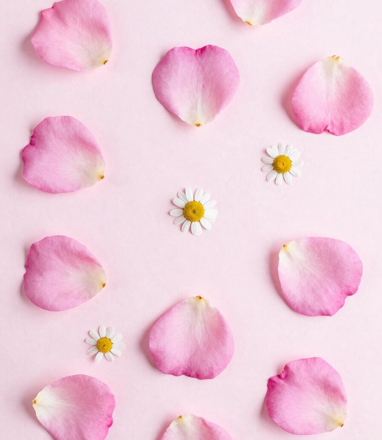 Minimalist overhead shot of fresh rose petals and chamomile flowers on a soft pink surface, diffused morning light, clean editorial composition