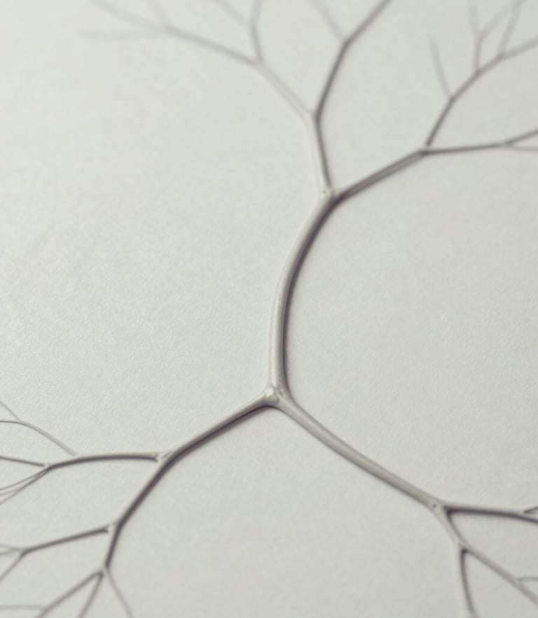 An elegant, abstract anatomical rendering showing a clean neural pathway, desaturated tones, clinical editorial style, 35mm