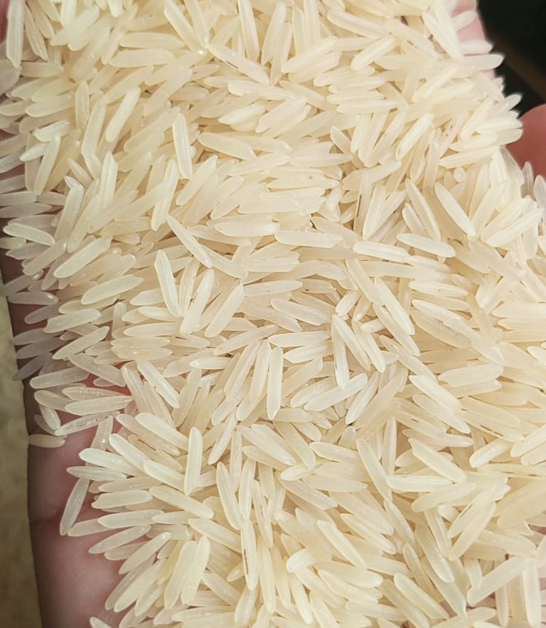 1121 Steam Rice Exporter in Pakistan