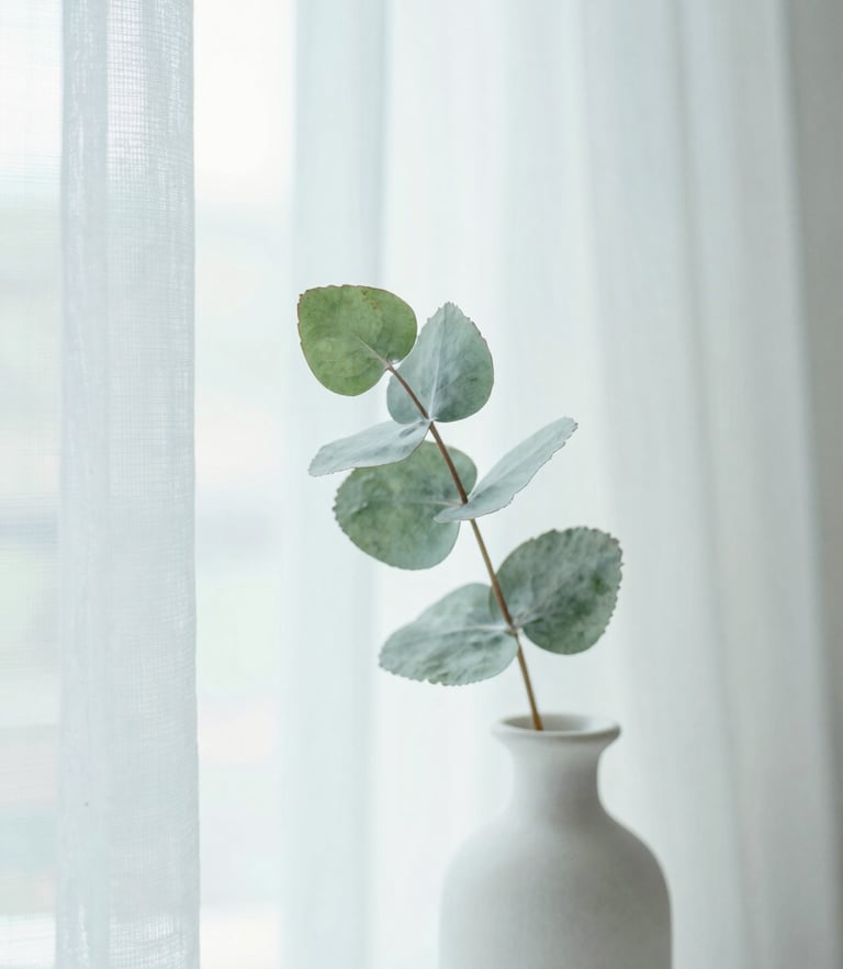 Ethereal lifestyle photography of soft morning window light filtering through sheer curtains, a delicate eucalyptus leaf in a white ceramic vase, pale blue and white watercolor tones, shallow depth of field, 35mm