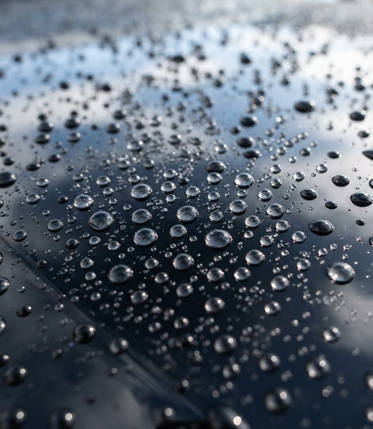 Close-up of water beading perfectly on a freshly waxed black car hood, bright natural daylight, crisp focus