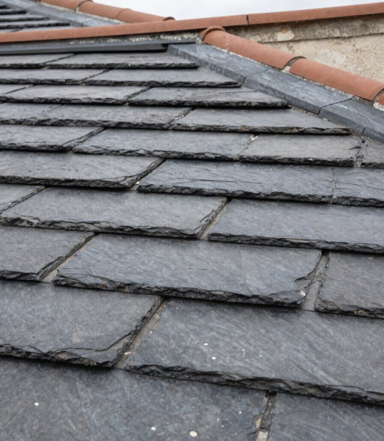Close-up of neatly aligned slate tiles on a Parisian roof under overcast daylight, high contrast, sharp details of natural stone texture.
