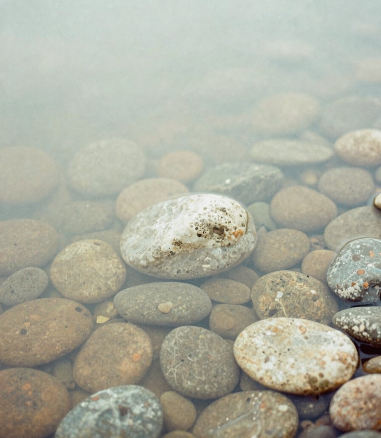 Soft close-up of smooth river stones under clear shallow water, foggy daylight, muted sage tones, 35mm film