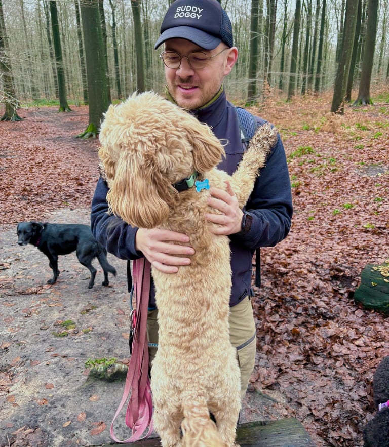 buddy doggy dog walking dog sitting Brussels
