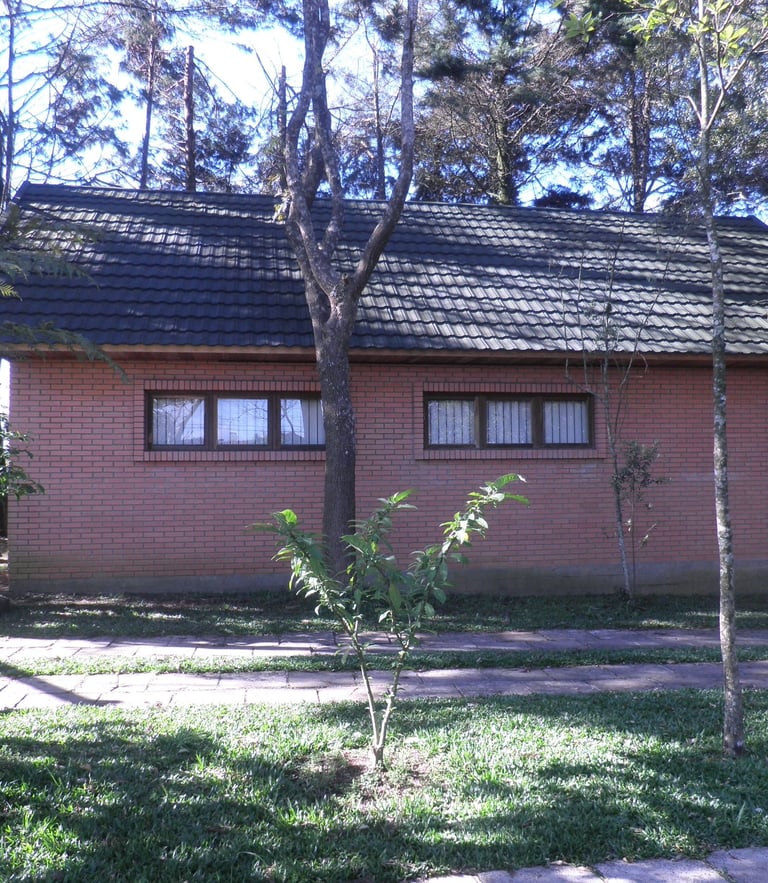 iex-caminho-do-mestre-ayahuasca-caxias-do-sul-rs