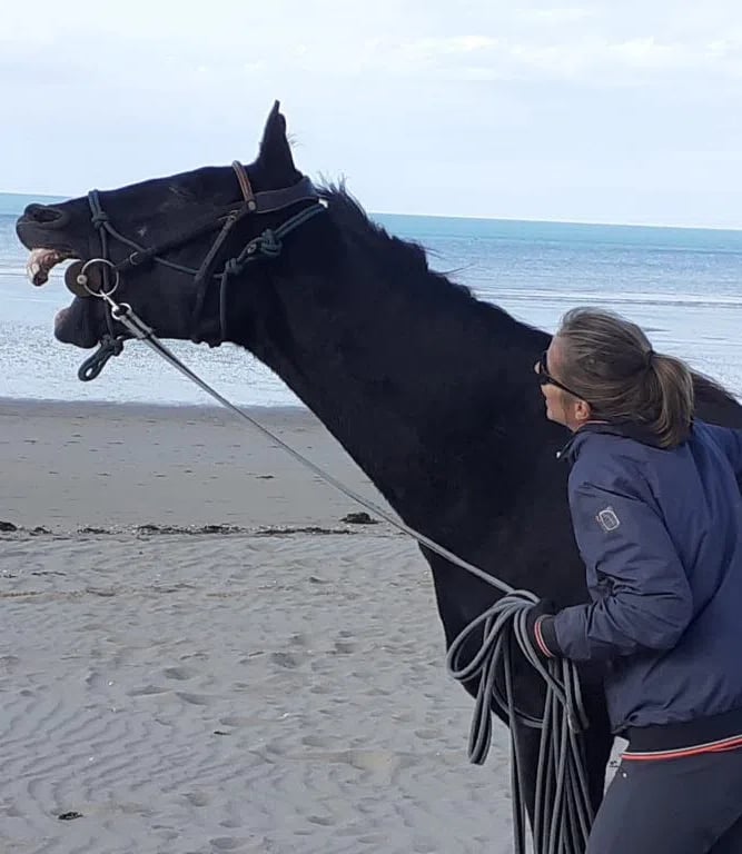 Cheval qui rit sur la plage avec la mer en fond