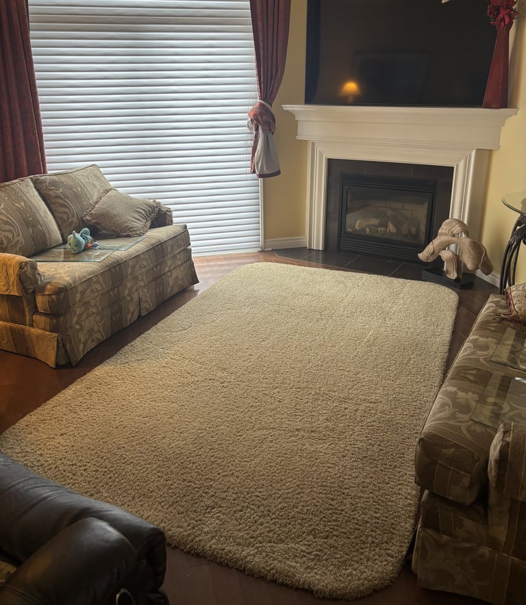 Freshly cleaned area rug in a cozy living room with fireplace, sofa, and natural light.
