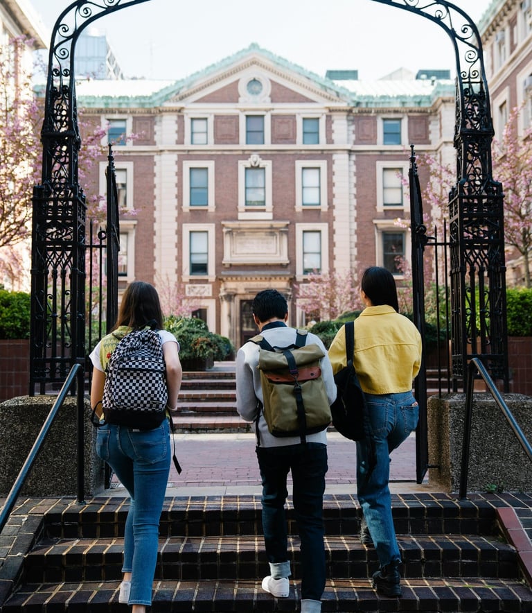 guardianship, school, university, high school, college, immigration, graduation, family