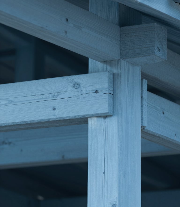 A close-up of a perfectly clean and protected wooden structure, free of termites, illuminated by soft blue architectural lighting (#6B8CCD), emphasizing structural integrity.
