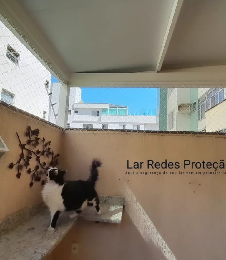 REDES DE PROTEÇÃO PARA GATOS MG BH