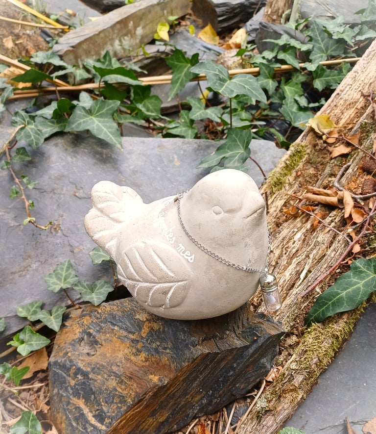 oiseau pour porter message personne disparu