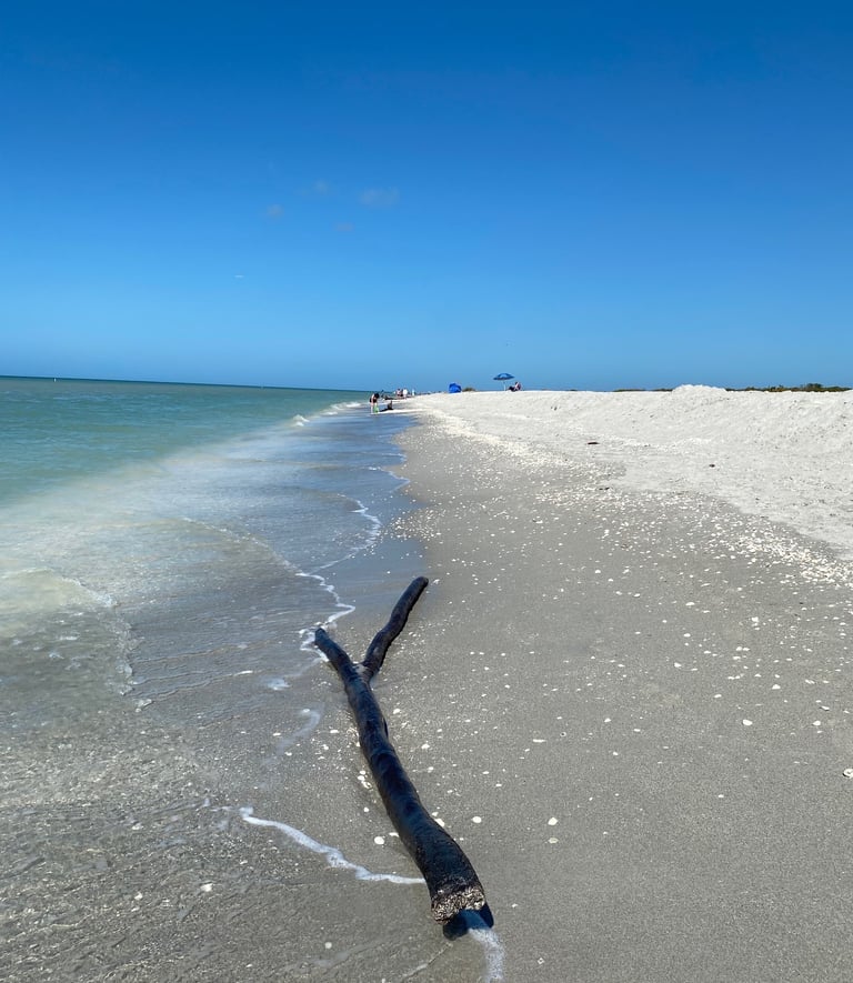 Marco Island Florida