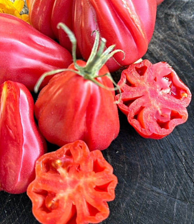 Tlacolula Pink tomato with ribbed, pear-shaped pink fruits, a Mexican heirloom known for sweet flavour.