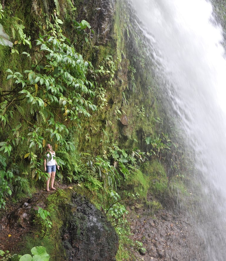 Waterfalls at the La Paz Waterfall Garden and Nature Park, Costa Rica