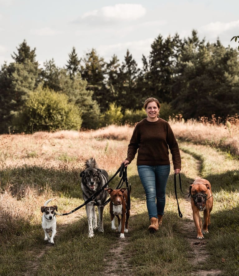Marissa Füger von RIKA Hundeschule Wiesental mit ihren 4 Hunden am Waldrand
