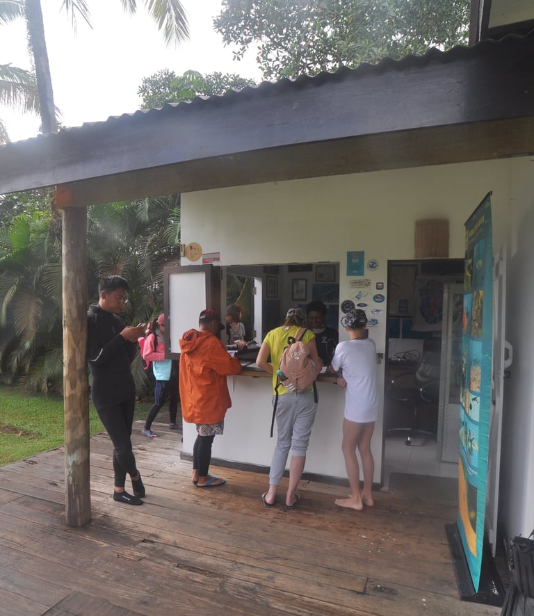 Beqa Shark dive, Aqua Trek dive center, Pacific Harbour, Fiji