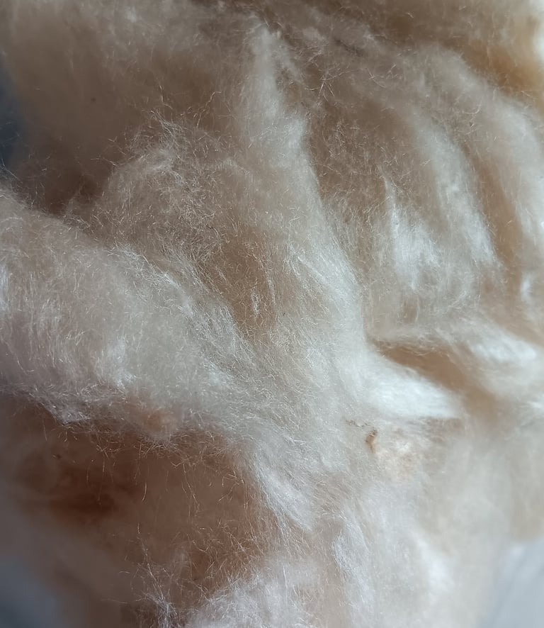 fibre kapok