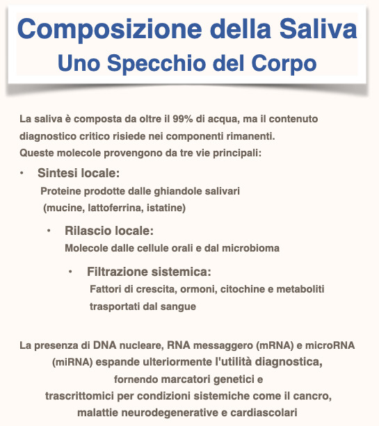 Formazione della saliva 