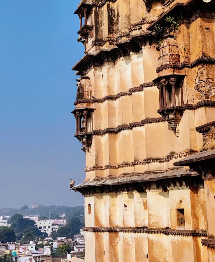 A vulture perched on the spire of a temple in Orchha.