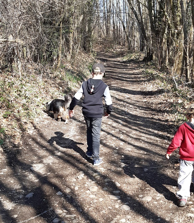 balade avec les enfants et son chien