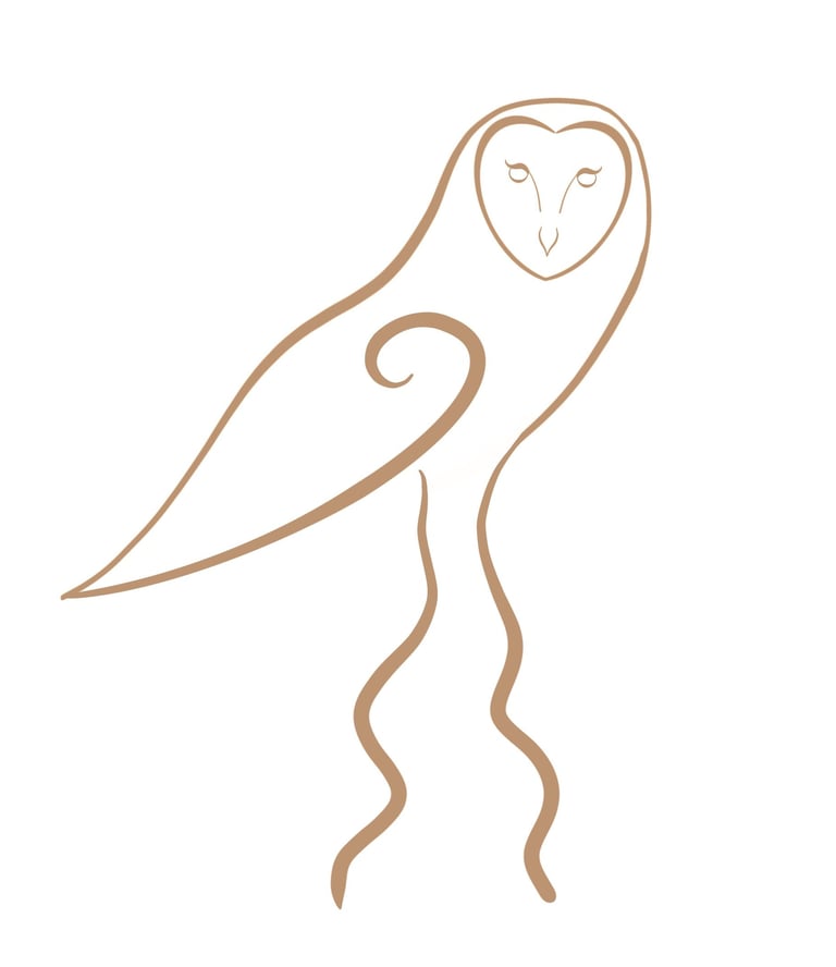Le Chemin de la Chouette logo chouette effraie