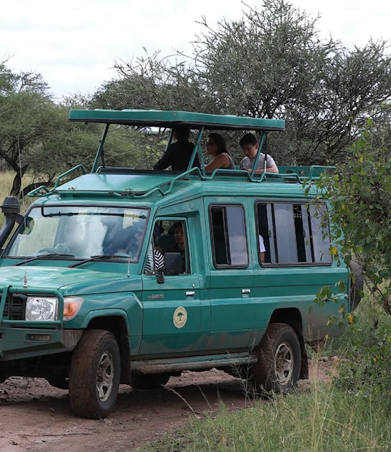 A green safari vehicle with people on it's roof top