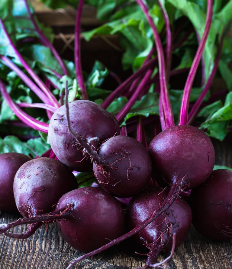 BOLTHARDY BEETROOT - Old Heirloom variety 