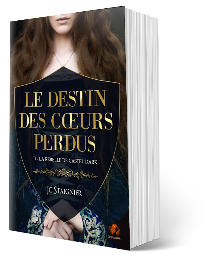 Le Destin des Cœurs Perdus Tome 2 en broché.