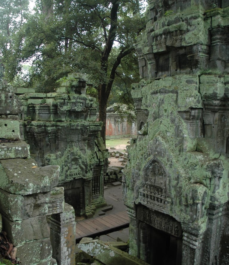 Ta Prohm, the Tomb Raider Temple, Angkor Wat, Siem Reap, Cambodia