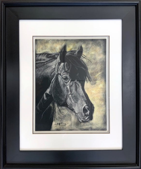Detailed portrait of a black horse in scratchboard, in a black frame.