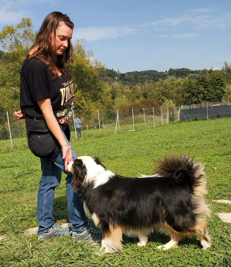 travail d'éducation pour le "touche"