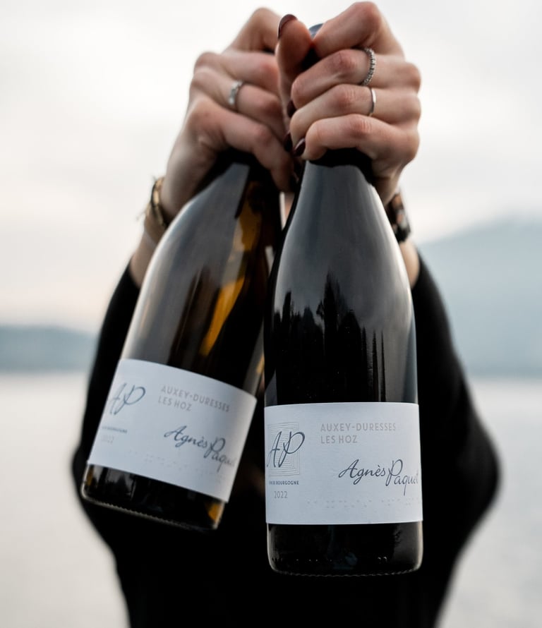 sélection de vins rares et millésimes a Annecy