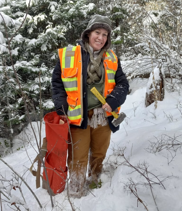 property borders, land surveying, northwest