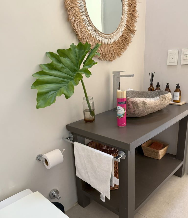 Lagartos baño principal